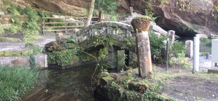 原口泉教授の野外歴史教室「志布志の繁栄の謎解き歴史と港湾コンビナート」